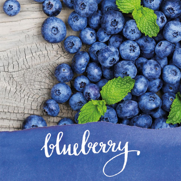 189722_Чернила "Ink of the Senses" для перьевых ручек, 15 мл, с ароматом голубики, цвет синий