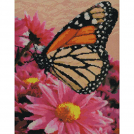 31505_Набор для вышивания "Бабочка-данаида" 31505_Набор для вышивания "Бабочка-данаида"