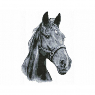 Набор для вышивания мулине НИТЕКС арт.0037 Дафнис 41х30 см