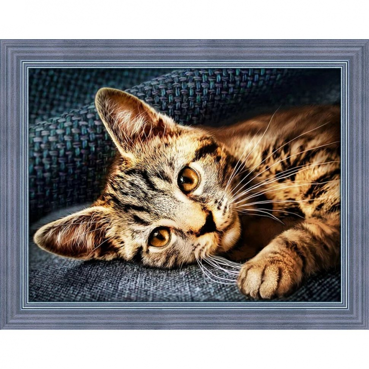 Набор для изготовления картин АЛМАЗНАЯ ЖИВОПИСЬ арт.АЖ.1700 Барсик 40х30 см