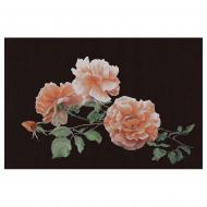 Набор для вышивания THEA GOUVERNEUR арт.414.05 Розы 65х44 см