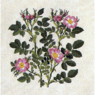 186805_Набор для вышивания: "Роза"