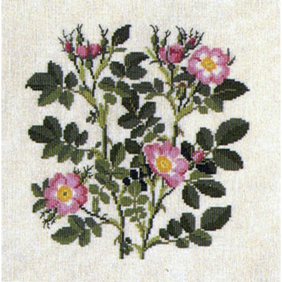 186805_Набор для вышивания: "Роза"