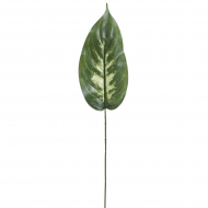 195232_Лист декоративный "Диффенбахи"