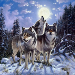 Картины мозаикой Molly арт.KM0697 Ночное трио (27 цветов) 30х30 см