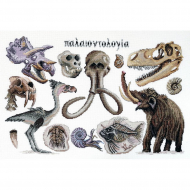 Набор для вышивания МАРЬЯ ИСКУСНИЦА арт.03.014.20 Палеонтология 45х30 см