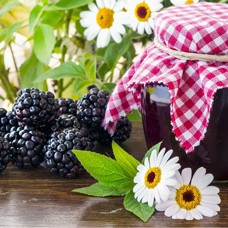 Алмазная мозаика Ah5287 Ежевичное настроение 30х30