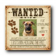 Набор для вышивания DIMENSIONS арт.DMS-70-35316 Разыскивается пес 20,3х20,3 см