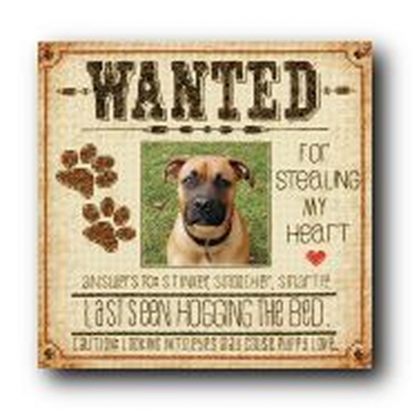 Набор для вышивания DIMENSIONS арт.DMS-70-35316 Разыскивается пес 20,3х20,3 см Набор для вышивания DIMENSIONS арт.DMS-70-35316 Разыскивается пес 20,3х20,3 см