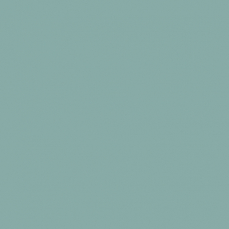 162491_Ткань Jersey Solid Colors A/W, 100% хлопок, 150 см, 210 г/м?