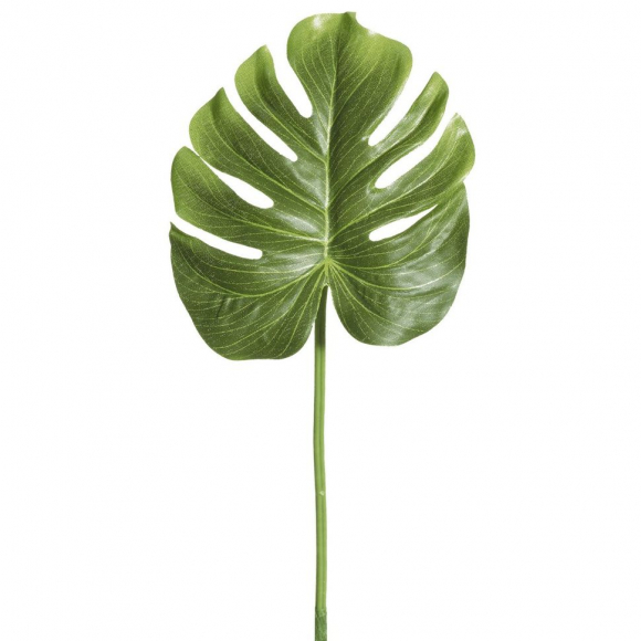 Лист декоративный "Филодендрон"