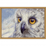 Набор для вышивания мулине НОВА СЛОБОДА арт.НВ5510 Полярная сова 25х15см