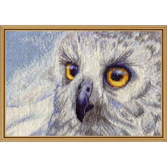 Набор для вышивания мулине НОВА СЛОБОДА арт.НВ5510 Полярная сова 25х15см