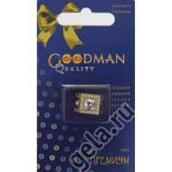 18024_Застежка горизонтальная со стразами, 2 ряда