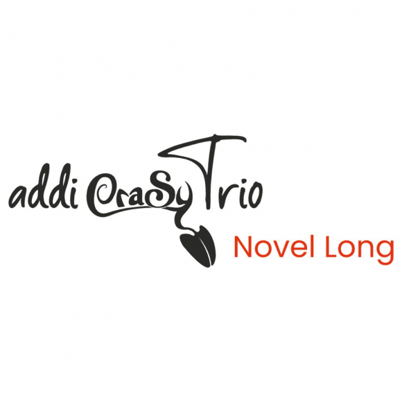 151776_Органайзер addiNest для гибких спиц addiCrasyTrio, войлочный, 14 х 15 см, 11 ячеек