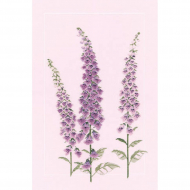 Набор для вышивания DERWENTWATER DESIGNS арт.FP02 Foxgloves 31х50,5 см