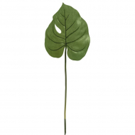 Лист декоративный "Филодендрон"