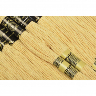 Нитки мулине цв.5000 бежевый 12х10м С-Пб