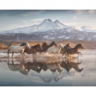 Пазл ФРЕЯ арт.PZL-1000/16 Табун 47,5х67,5 см