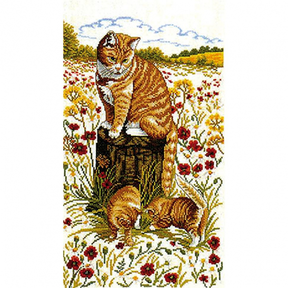Набор для вышивания EVA ROSENSTAND арт.14-181 Коты 30х50 см