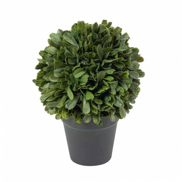 Цветок декоративный "Самшит"