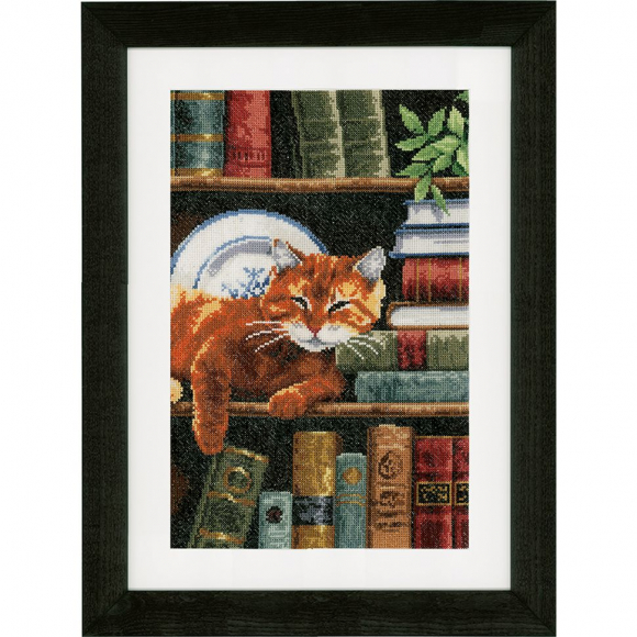 Набор для вышивания VERVACO арт.PN-0158440 Кот на книжной полке 25х35 см Набор для вышивания VERVACO арт.PN-0158440 Кот на книжной полке 25х35 см