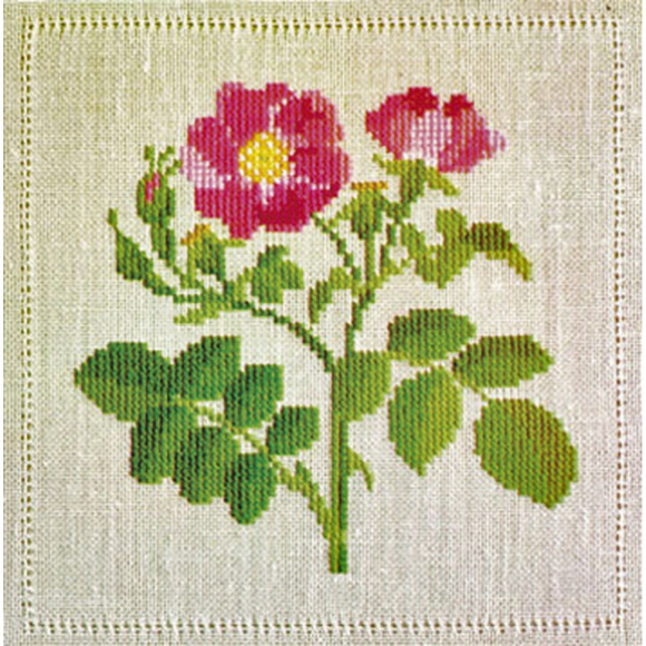 186840_Набор для вышивания: "Роза"