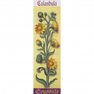 Набор для вышивания PANNA Живая картина арт. JK-2120 Ботаника. Календула 7х24,5 см