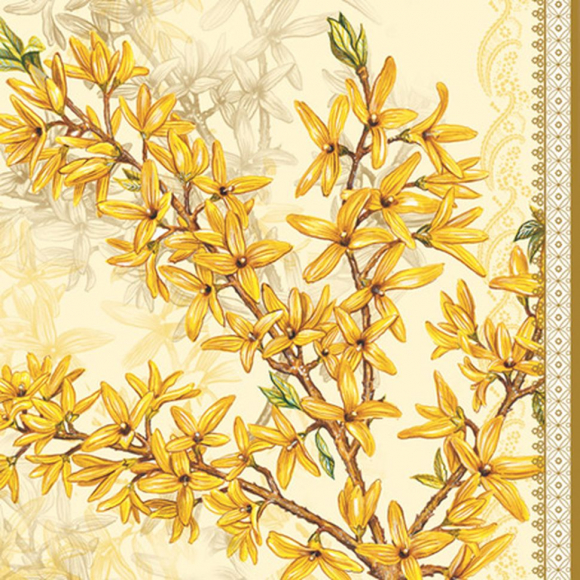 68535_Салфетки - трехслойные, коллекция "Весенний ланч", Maki