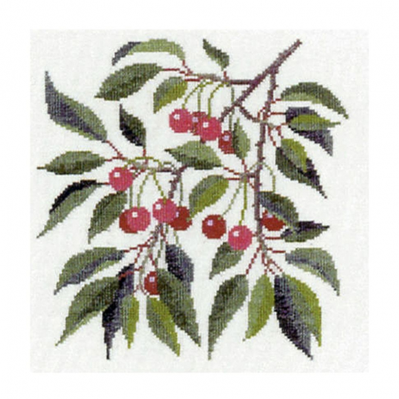 186846_Набор для вышивания: "Вишня"