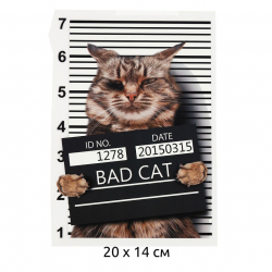 Термотрансфер арт.TBY.1320 Bad Cat 20х14см, уп.10шт