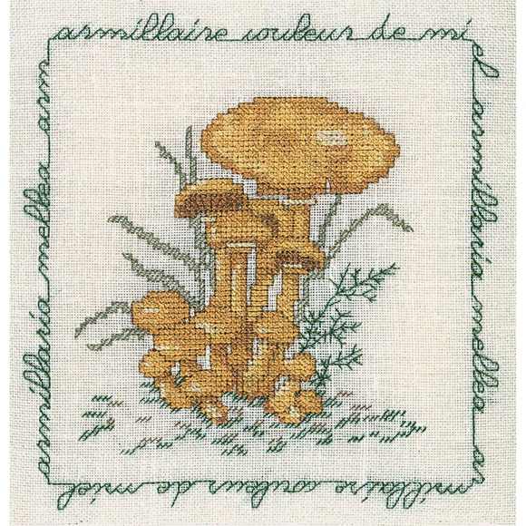 Набор для вышивания Le Bonheur des Dames арт.1685 Armillaire Couleur De Miel (Опёнок) 16х17 см Набор для вышивания Le Bonheur des Dames арт.1685 Armillaire Couleur De Miel (Опёнок) 16х17 см