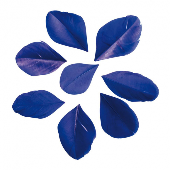 121078_Перья декоративные обрезанные