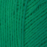 Пряжа для вязания ПЕХ Детский каприз трикотажный (50% мериносовая шерсть, 50% фибра) 5х50г/400м цв.511 зелёнка