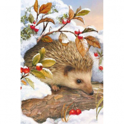 Алмазная мозаика Ah5256 Ёжик в снегу 20х30