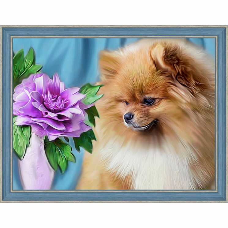 Набор для изготовления картин АЛМАЗНАЯ ЖИВОПИСЬ арт.АЖ.1461 Шпиц 40х30 см