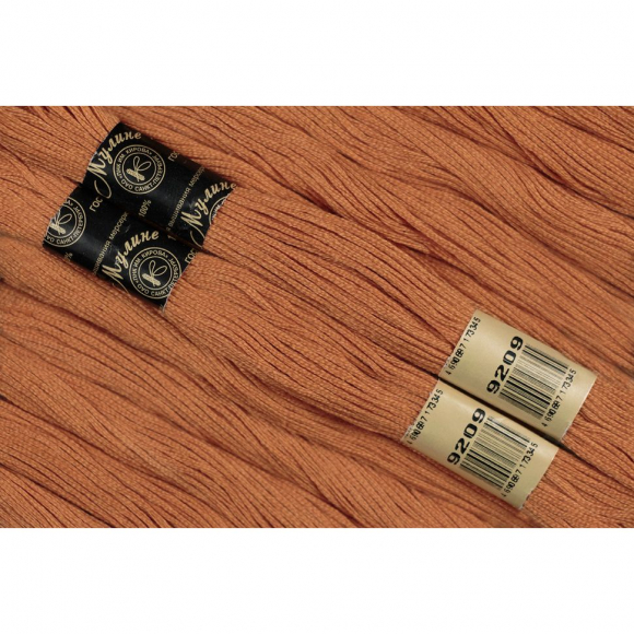 Нитки мулине цв.9209 12х10м С-Пб Нитки мулине цв.9209 12х10м С-Пб