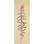 186803_Набор для вышивания: "Гоатрам"