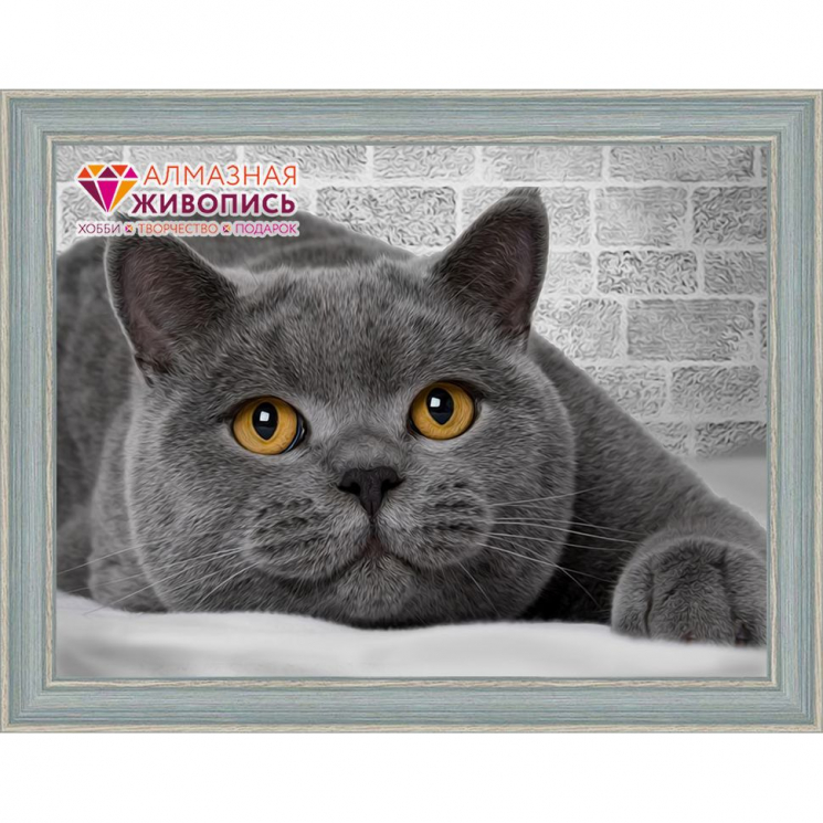 Набор для изготовления картин АЛМАЗНАЯ ЖИВОПИСЬ арт.АЖ.1463 Британский кот 40х30 см
