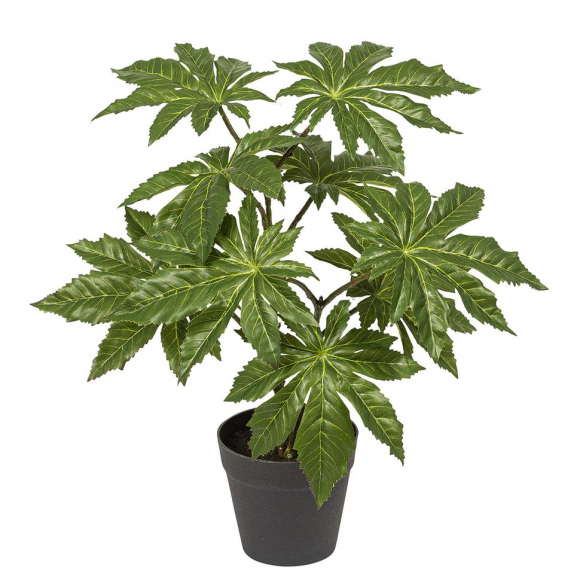 Цветок декоративный в кашпо "Аралия"