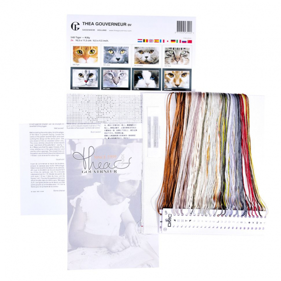 113808_Набор для вышивания "Два котёнка", канва Aida 16 ct