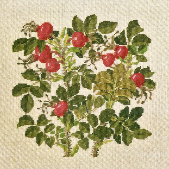 186806_Набор для вышивания: "Шиповник"