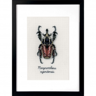 111205_Набор для вышивания "Красный жук"