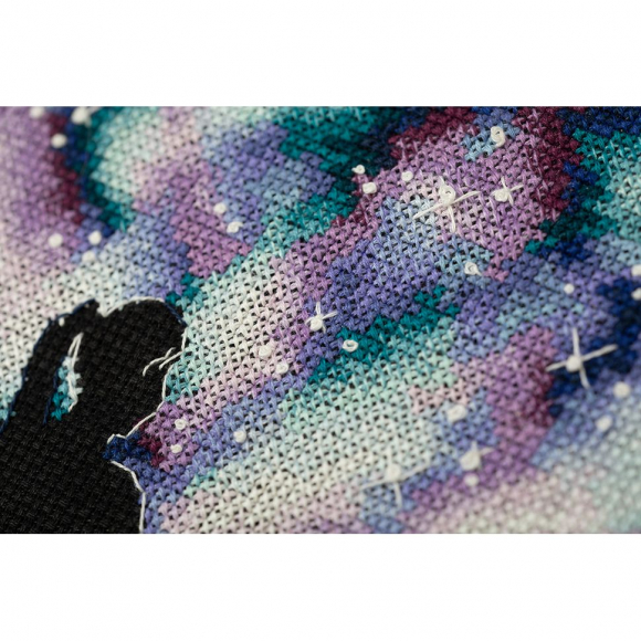 Набор для вышивания PANNA арт. KS-7375 Лучшие подруги во Вселенной 14х14,5 см Набор для вышивания PANNA арт. KS-7375 Лучшие подруги во Вселенной 14х14,5 см