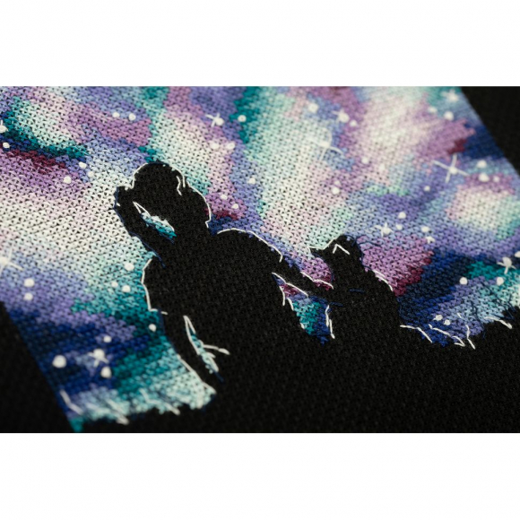 Набор для вышивания PANNA арт. KS-7375 Лучшие подруги во Вселенной 14х14,5 см Набор для вышивания PANNA арт. KS-7375 Лучшие подруги во Вселенной 14х14,5 см