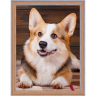 Набор для изготовления картин АЛМАЗНАЯ ЖИВОПИСЬ арт.АЖ.1466 Корги 30х40 см