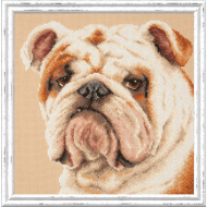 Набор для вышивания ЧУДЕСНАЯ ИГЛА арт.59-21 Английский бульдог 25х25 см Набор для вышивания ЧУДЕСНАЯ ИГЛА арт.59-21 Английский бульдог 25х25 см