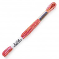 164814_Мулине Cosmo меланж Seasons 5003