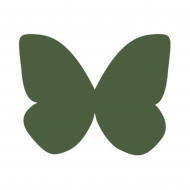 79319_Краска по шёлку "Silk Art"