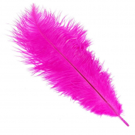 Перо страуса арт.S-300-6 30-35 см цв.малиновый уп.5 шт.